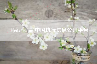 滑县中国执行信息公开平台