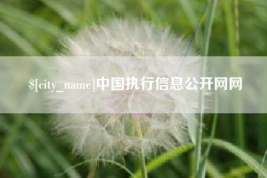 滑县中国执行信息公开网网