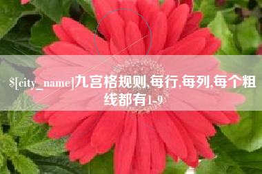 滑县九宫格规则,每行,每列,每个粗线都有1-9