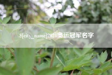 滑县2024奥运冠军名字