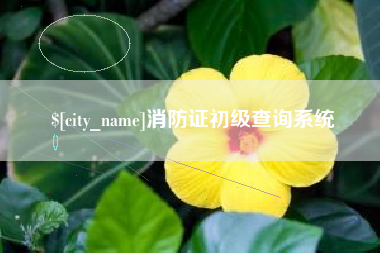 滑县消防证初级查询系统