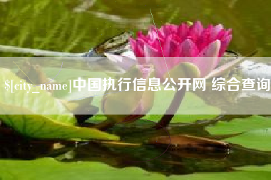 滑县中国执行信息公开网 综合查询