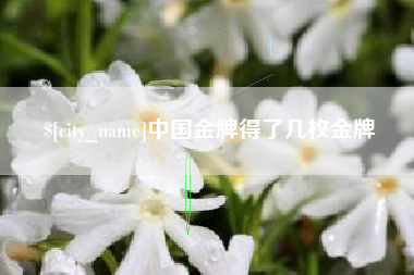 滑县中国金牌得了几枚金牌