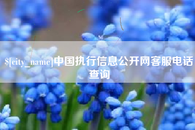 滑县中国执行信息公开网客服电话查询