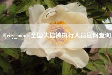 滑县全国失信被执行人员官网查询