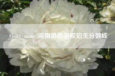 滑县河南消防学校招生分数线