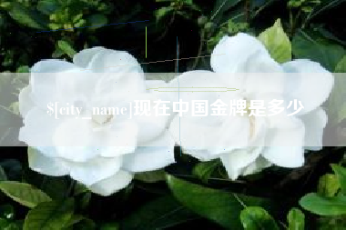 滑县现在中国金牌是多少