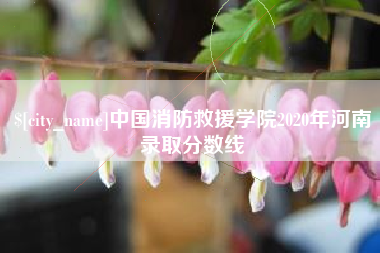 滑县中国消防救援学院2020年河南录取分数线