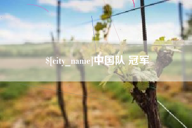 滑县中国队 冠军