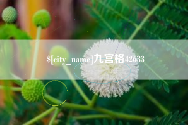 滑县九宫格42633
