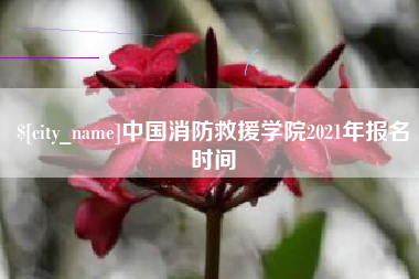 滑县中国消防救援学院2021年报名时间