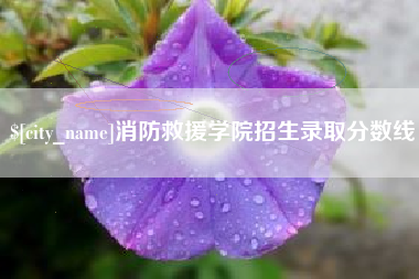 滑县消防救援学院招生录取分数线