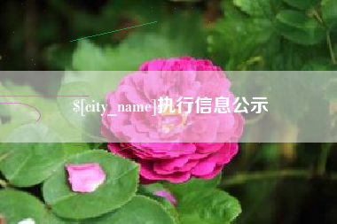 滑县执行信息公示