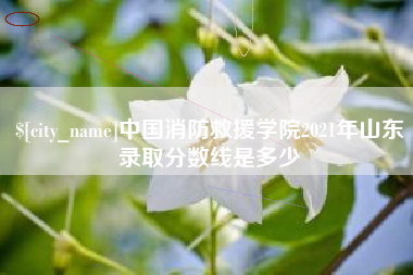 滑县中国消防救援学院2021年山东录取分数线是多少