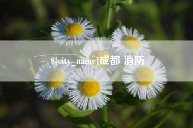 滑县成都 消防