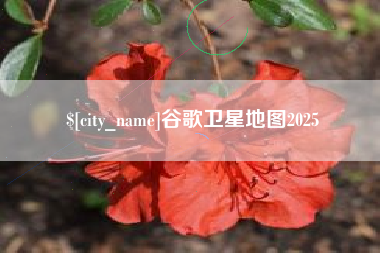 滑县谷歌卫星地图2025