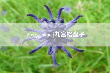 滑县九宫格盘子