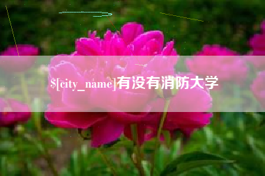 滑县有没有消防大学