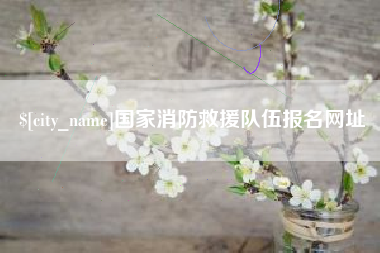 滑县国家消防救援队伍报名网址