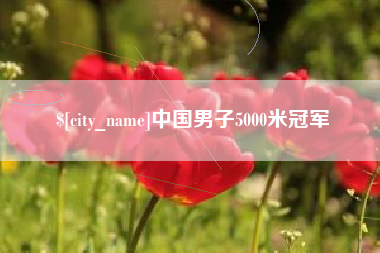 滑县中国男子5000米冠军