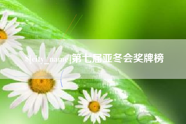 滑县第七届亚冬会奖牌榜
