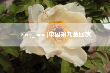 滑县中国第九金回放