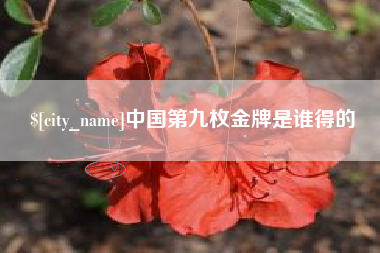 滑县中国第九枚金牌是谁得的