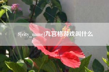 滑县九宫格游戏叫什么