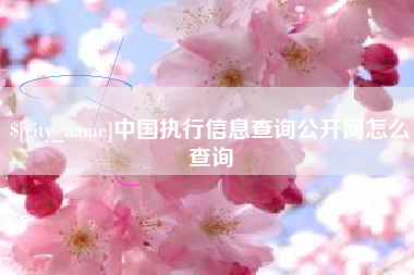 滑县中国执行信息查询公开网怎么查询