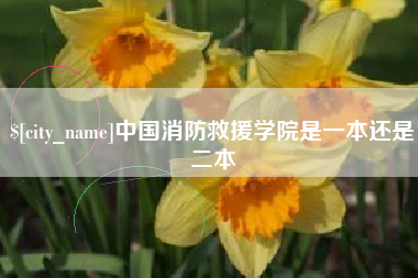 滑县中国消防救援学院是一本还是二本