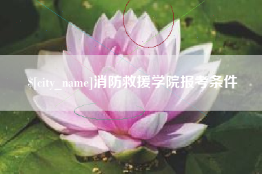 滑县消防救援学院报考条件