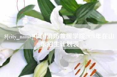 滑县中国消防救援学院2020年在山东招生计划表