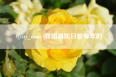 滑县我国消防日是每年的