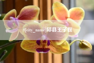 滑县邱县王子磊