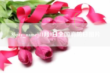 滑县11月9日全国消防日图片