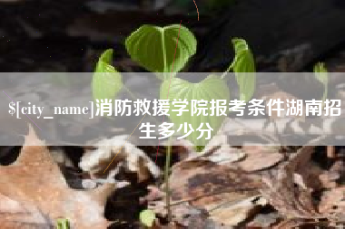 滑县消防救援学院报考条件湖南招生多少分