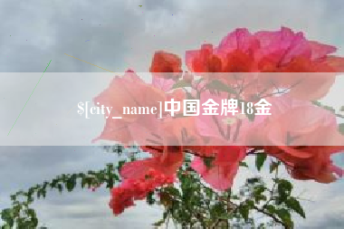 滑县中国金牌18金