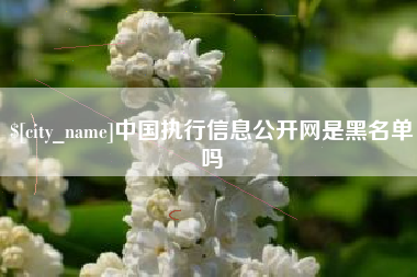 滑县中国执行信息公开网是黑名单吗