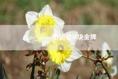 滑县奥运会39块金牌