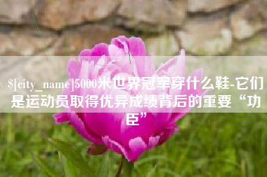 滑县5000米世界冠军穿什么鞋-它们是运动员取得优异成绩背后的重要“功臣”