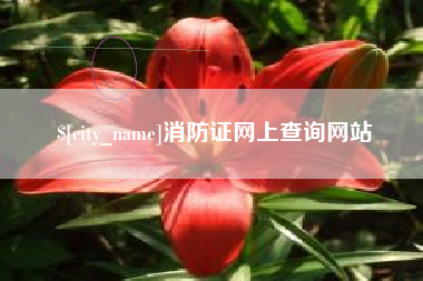 滑县消防证网上查询网站