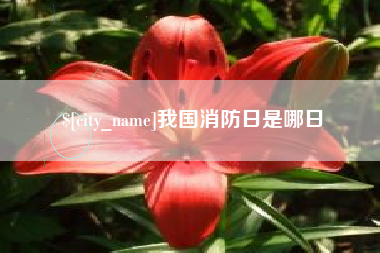 滑县我国消防日是哪日