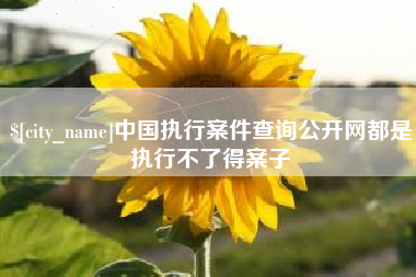 滑县中国执行案件查询公开网都是执行不了得案子