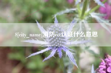 滑县消防ccc认证什么意思