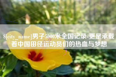 滑县男子5000米全国记录-更是承载着中国田径运动员们的热血与梦想
