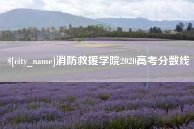 滑县消防救援学院2020高考分数线