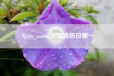 滑县全国消防日哪一