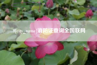 滑县消防证查询全国联网