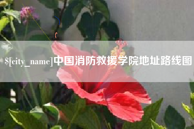 滑县中国消防救援学院地址路线图