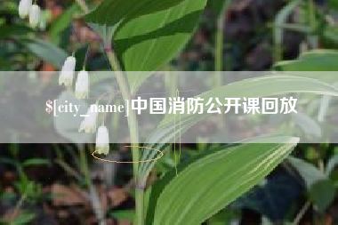 滑县中国消防公开课回放